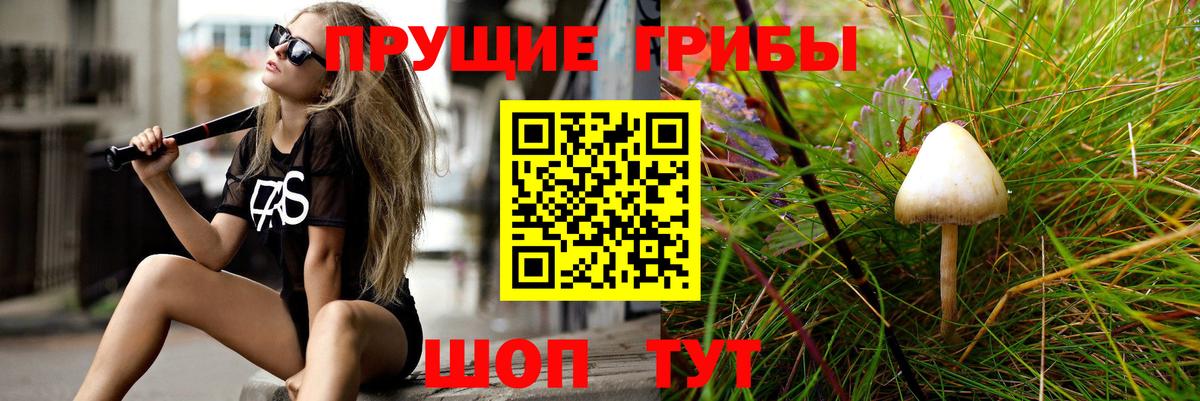 Галлюциногенные грибы Cubensis  Вход с VPN  Галлюциногенные грибы Magic Shrooms  Торжок 
