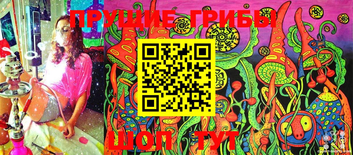 Псилоцибиновые грибы мицелий Торжок