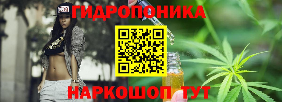 Конопля AK-47 Торжок