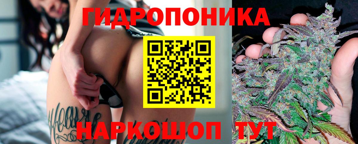Бошки марихуана Bruce Banner  Вход с VPN  Каннабис гибрид  Каннабис OG Kush  Торжок 